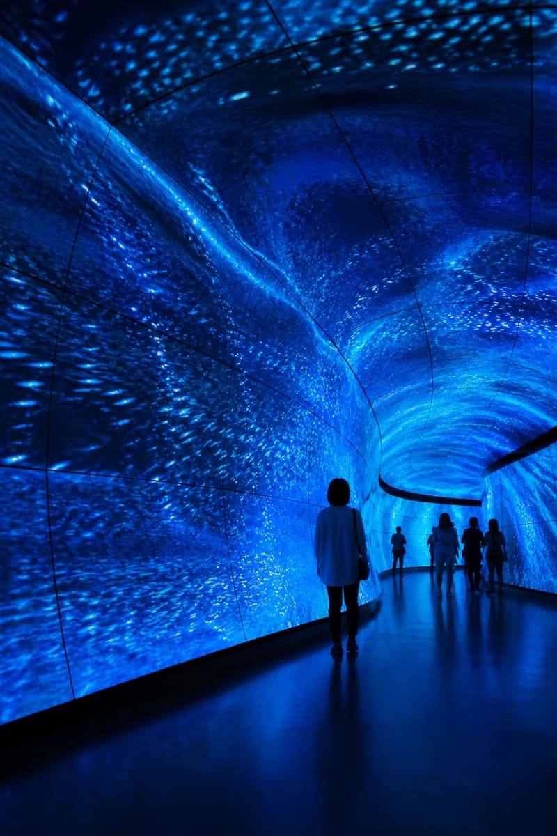 Curved LED Environments